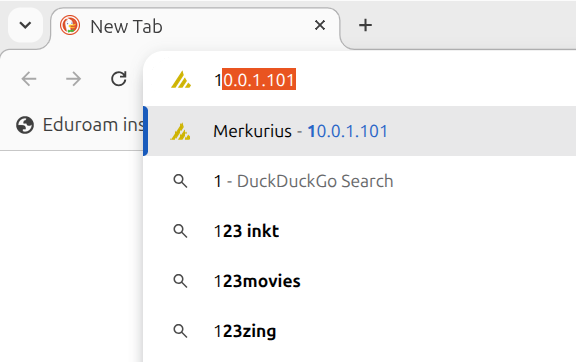 Type the URL of your printer in the browser