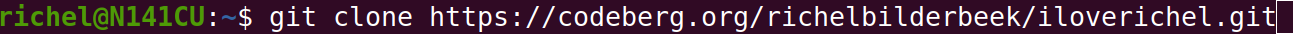 Before cloning your repository