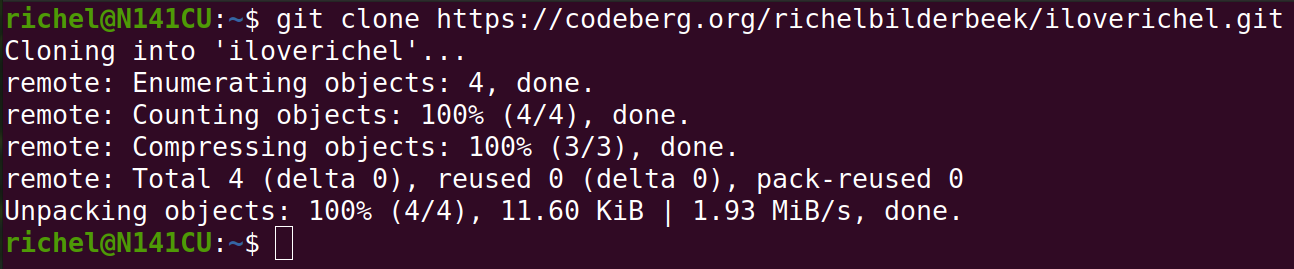 After cloning your repository