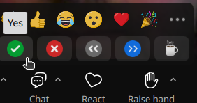The Zoom green checkmark
